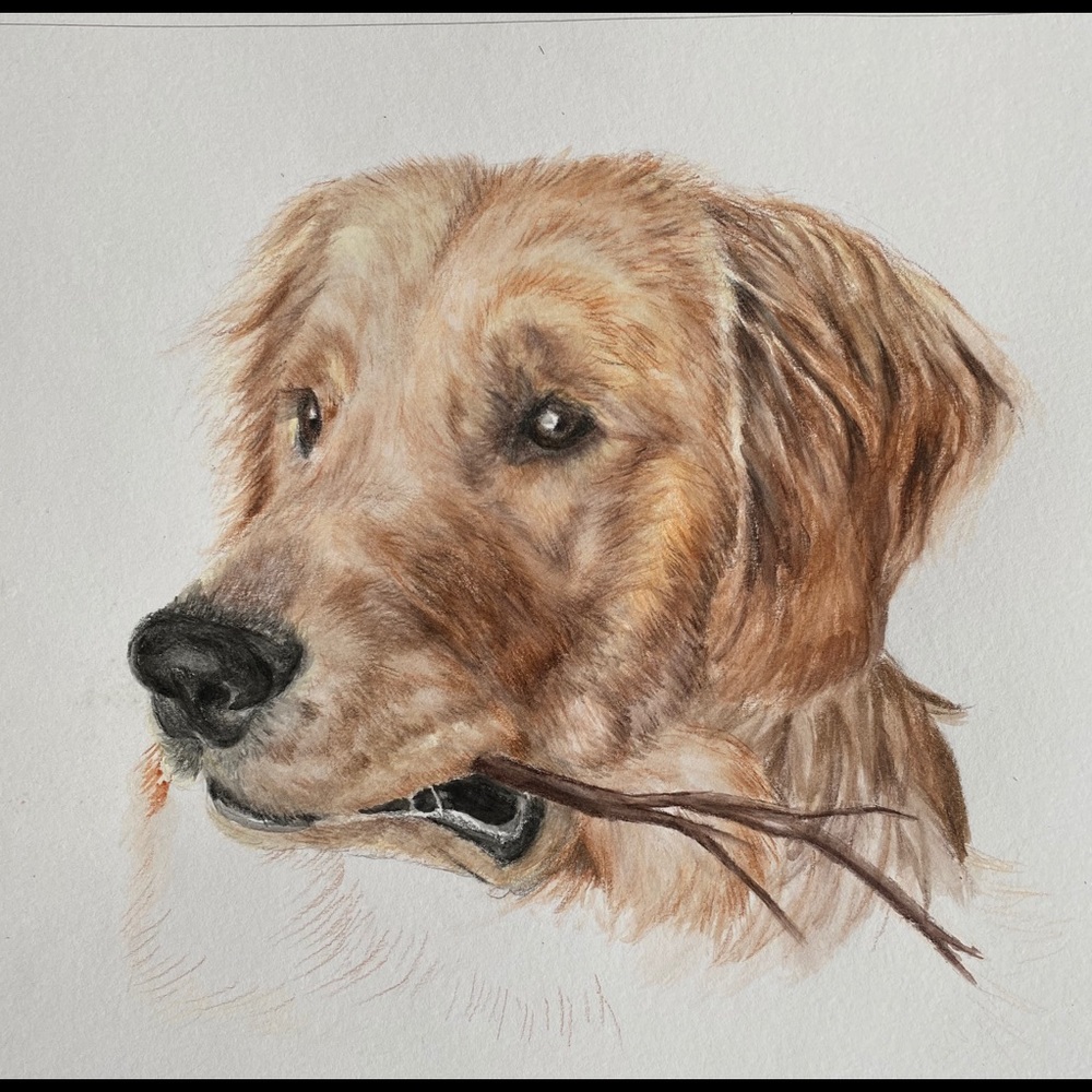 **Custom Made Pet Portraits**